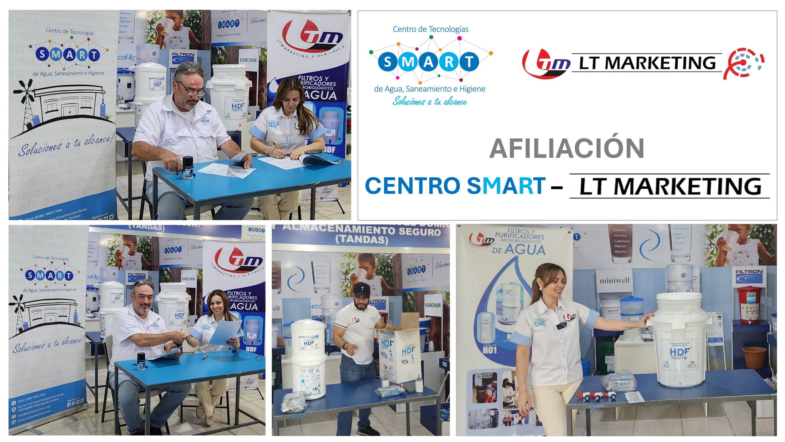 afiliación LT Markting 1a